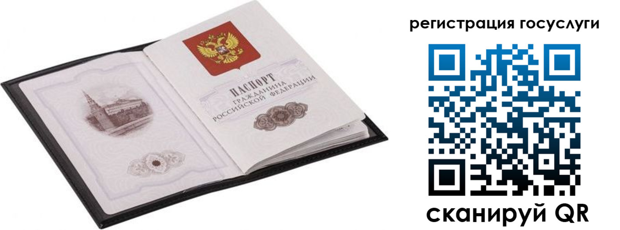 временная регистрация поиск в Кашине